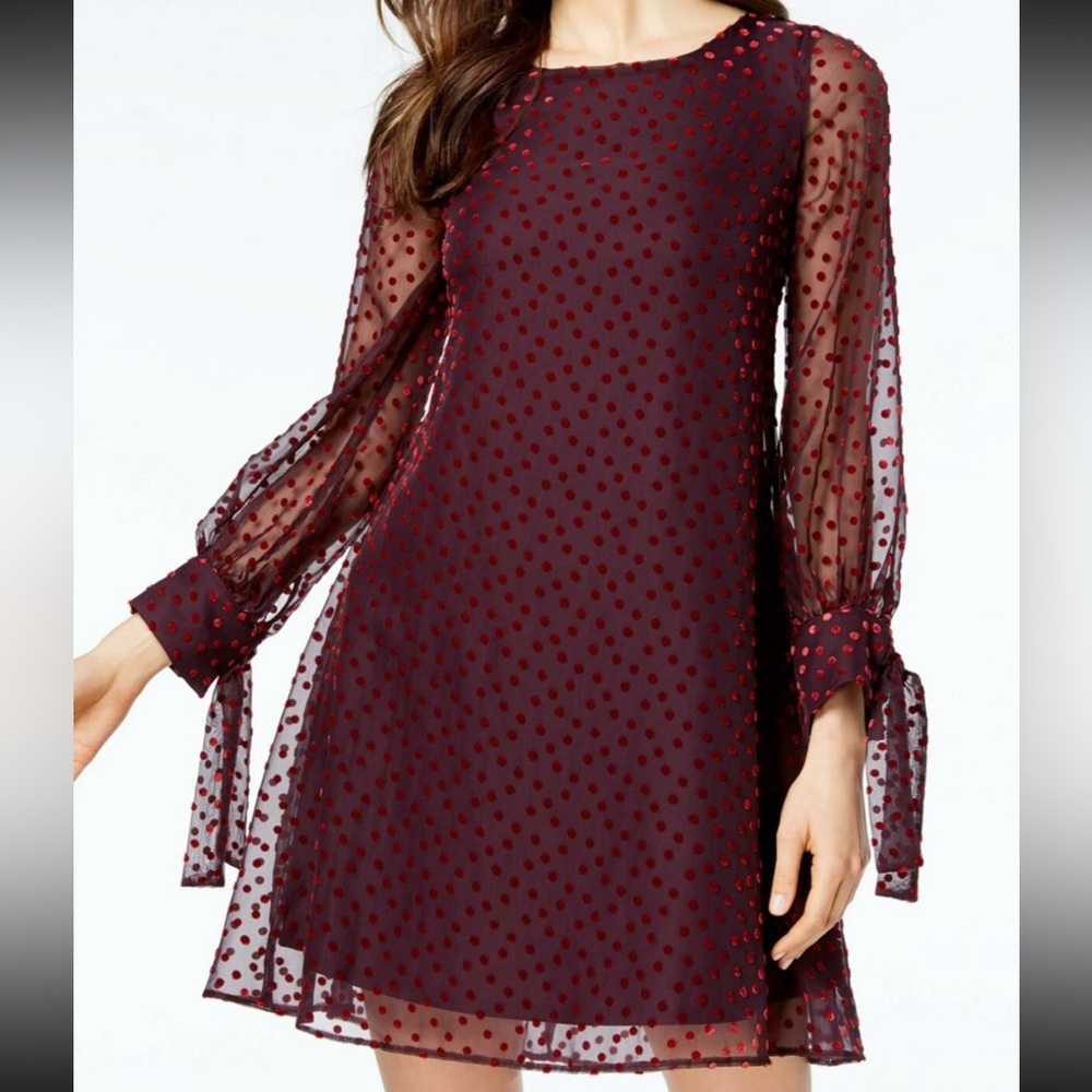 Taylor Burgundy Maroon Red Polka Velvet Dot Long Sleeve Shift Dress